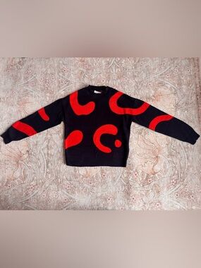 & Other Stories Navy & Red Squiggly Geometry Crop Sweater